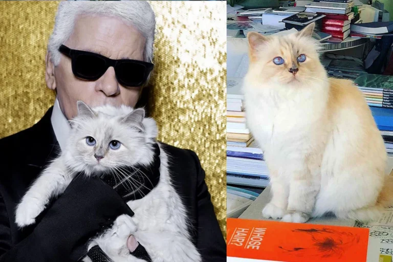 Karl Lagerfelds Katze Choupette