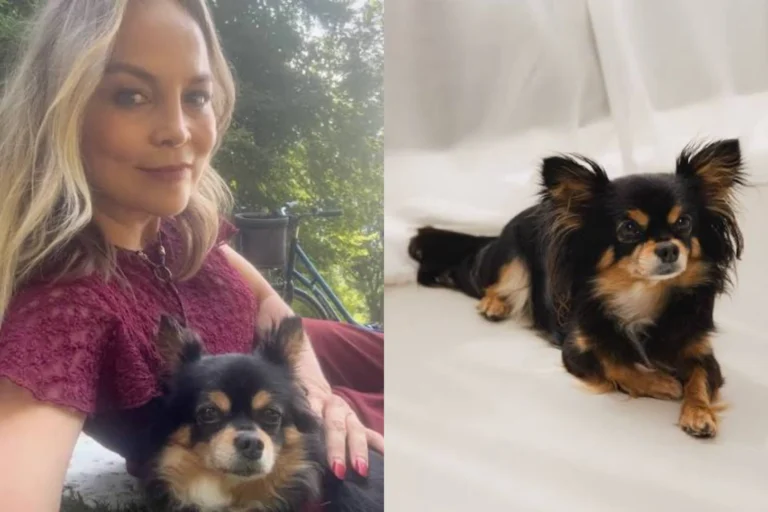 Regina Hamlisch Promi Tiere Giny